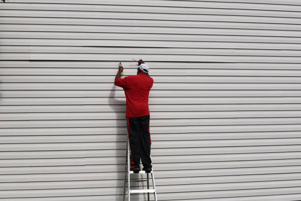 Best Custom Trim and Detailing for Siding  in Whiteville, TN